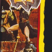 Image 5