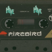 Image 4