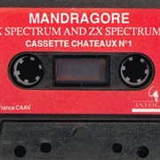 Image 4