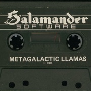 Image 5