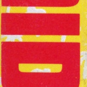 Image 19