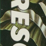 Image 13