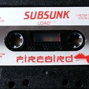 Image 4