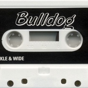Image 3