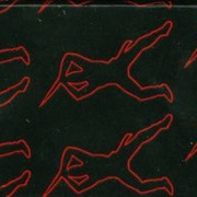 Image 13
