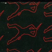 Image 15