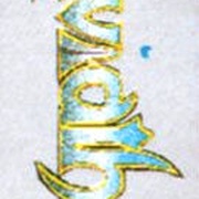 Image 7