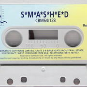 Image 4