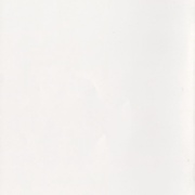 Image 30