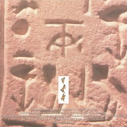 Image 20