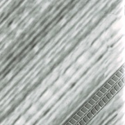 Image 52