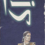Image 17