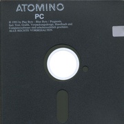 Image 4