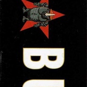 Image 22