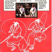 Image 30