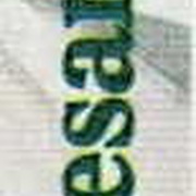 Image 39