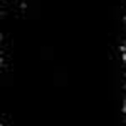 Image 28