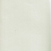 Image 31