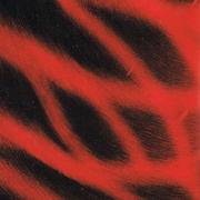 Image 69
