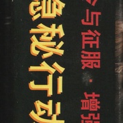 Image 32