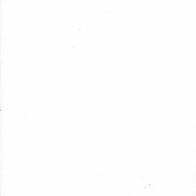 Image 25