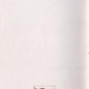 Image 23