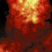 Image 20