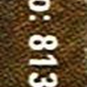 Image 31