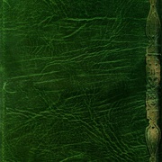 Image 17