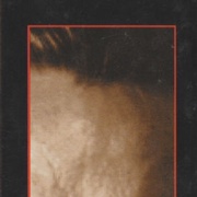 Image 24