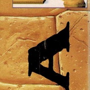 Image 19