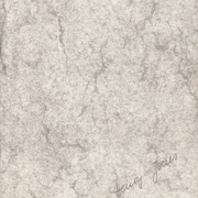 Image 52
