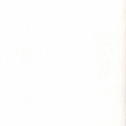 Image 29