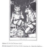 Image 13