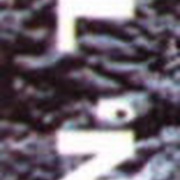 Image 21