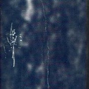 Image 25