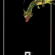 Image 31