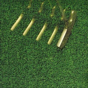 Image 27