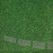 Image 28