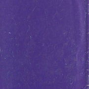 Image 25