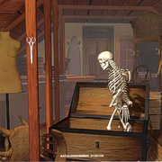 Image 12