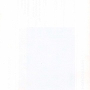 Image 40