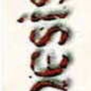 Image 30