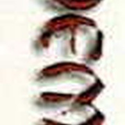 Image 31
