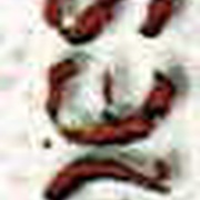 Image 29
