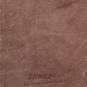Image 20