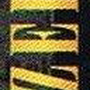 Image 38