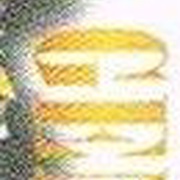 Image 39