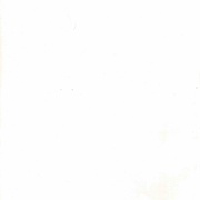 Image 31