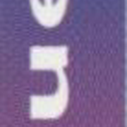 Image 15